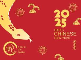 Chinese lunar new year the snake vector