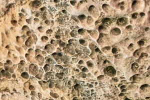 Natural erosion patterns in weathered rock surface with unique textures and earthy tones. photo
