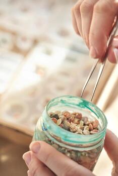 Hands using tweezers to select miniature shells from jar for craftwork with delicate precision. photo