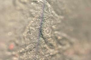 Macro abstract texture with soft colors and iridescent line pattern. photo