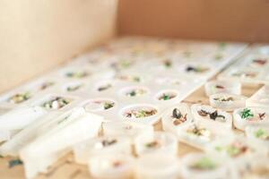 Close up of miniature figures on sculpting trays in a creative workshop setting. photo