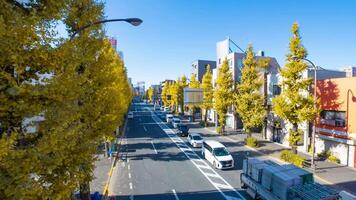 A timelapse of traffic jam at street with yellow gingko trees in Tokyo wide shot zoom video