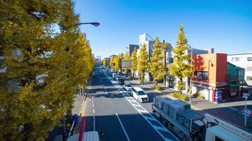 A timelapse of traffic jam at street with yellow gingko trees in Tokyo wide shot tilt video