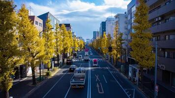 A timelapse of traffic jam at street with yellow gingko trees in Tokyo wide shot video