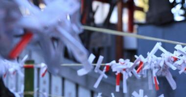 Oracles at Hanazono shrine in Tokyo daytime video