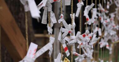 Oracles at Oomiya hachiman shrine in Tokyo video