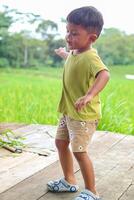 niños en el arroz arrozales casa de su casas niños jugando en rural campos de Asia foto