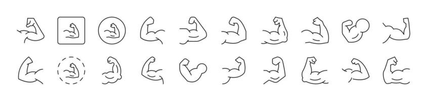 Muscles Set of Thin Icons. Editable Stroke. Suitable for Web Sites, Books, Cards, Apps vector