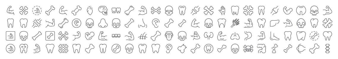 Internal Organs, Teeth and Bones Set of Thin Icons. Editable Stroke. Suitable for Web Sites, Books, Cards, Apps vector