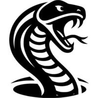 Tattoo of hissing cobra snake head in monochrome. Wild snake in madness. Engraving minimalistic in black ink drawing on white background vector
