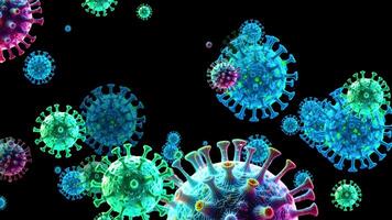 3D animation of vibrant, multicolored virus particles against a black background, ideal for scientific visualizations. video