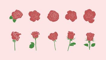Flat Red Rose flower Collection Item vector