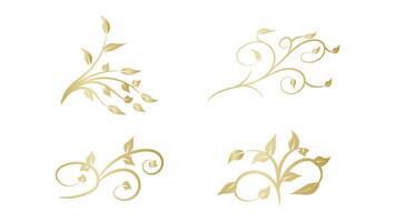 floral with gold artistic swirl line design set isolated on white background vector