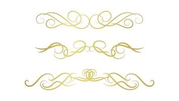 elegant frame decoration isolated on white background. gold swirl lines element set vector