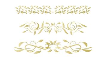 golden floral border set isolated on white background. text divider and page or card decorative design element vector