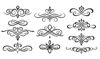 Swirl Calligraphic Ornament Set with Elegant Decorative Elements vector