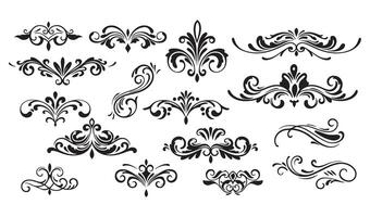 Calligraphic Swirl Ornament Set with Unique Decorative Flourishes vector