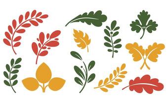 Stylish Set of Leaf and Foliage Icons for Natural Designs vector