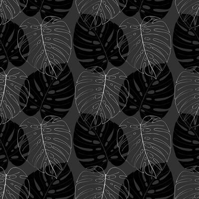 Dark luxury Monstera leaf pattern, silver outline leaves and silhouette of black Monstera leaves on dark background.