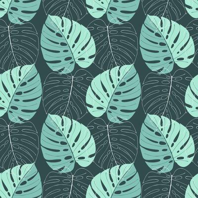 Tropical pattern with monstera leaf foliage, leaf silhouettes and outlines on dark background.