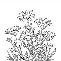 Wild Flower Outline Drawing Coloring Page for Kids and Adults vector