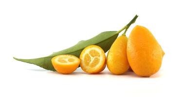 Fresh kumquats with leaf and sliced kumquats showing pulp photo