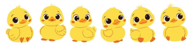 A set of flat illustrations in cute childish style. Cute ducklings in different poses with big cute eyes vector