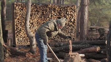 An individual chops a log with an axe in a forest environment. Stacked firewood is visible in the background, showcasing a rustic, wintery setting. video