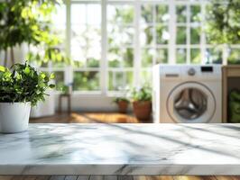 Bright laundry room with plants and natural light in a cozy home setting photo
