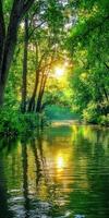 Serene sunset light reflecting off a calm river surrounded by lush trees photo