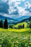 Serene meadow landscape with mountains and vibrant wildflowers under cloudy sky photo