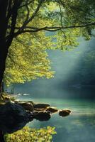 Serene lake surrounded by lush trees and sunlight filtering through foliage photo