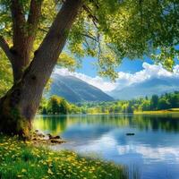 Scenic lake surrounded by trees and mountains under a clear blue sky photo