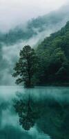 Misty lake landscape with solitary tree reflecting on water surface photo