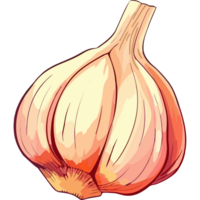 Fresh organic garlic clove, a healthy seasoning ingredient icon isolated png