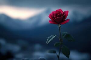 Red rose blooming against a dramatic mountain backdrop at dusk photo