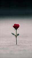 Lonely red rose standing tall in a desolate landscape at dusk photo