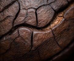Detailed close-up of cracked coffee bean showcasing its texture and color photo