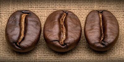 Dark roasted coffee beans arranged on burlap showcasing texture and detail photo