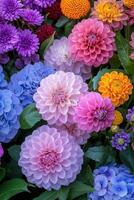 Colorful display of blooming flowers in a vibrant garden setting photo
