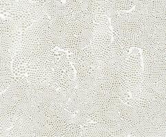 Detailed texture of abstract white pattern resembles organic forms photo