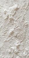 Delicate lace fabric with intricate patterns displayed for textile enthusiasts photo