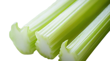 High-Quality Image of a Fresh Celery Stick Showcasing Its Unique Ridges Ideal for Culinary and Nutrition Blogs and Health-Related Articles. png