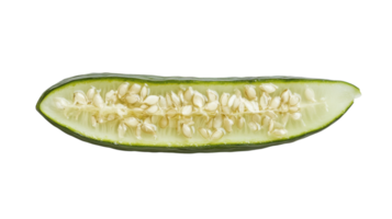 A Fresh Slice of Cucumber Highlighting Its Seeds, Perfect for Nutrition and Culinary Use in Healthy Dishes and Salads. png