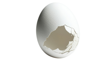 A Fresh White Egg Nestled in a Cracked Eggshell Ideal for Culinary Illustrations and Cooking Contexts. png