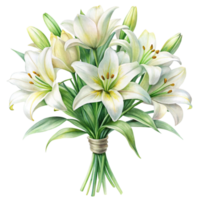 white lilies on transparent background png