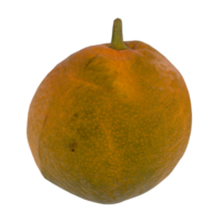 Bright orange fruit on transparent, highlighting texture and color png