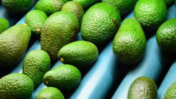 Avocado hass rolling pan video