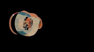 3D Abstract Typography Motion Shape Digital Rendering video