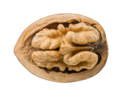 walnut half isolated background, close-up of walnut kernel and shell, healthy snack, nutritious food, brain-shaped nut detail png